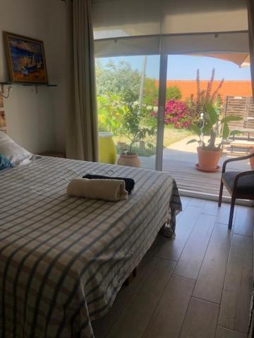 Ma Cabane De Pecheur Pieds Dans L'Eau - Lit Queen Size Saint-Mandrier-sur-Mer Dış mekan fotoğraf